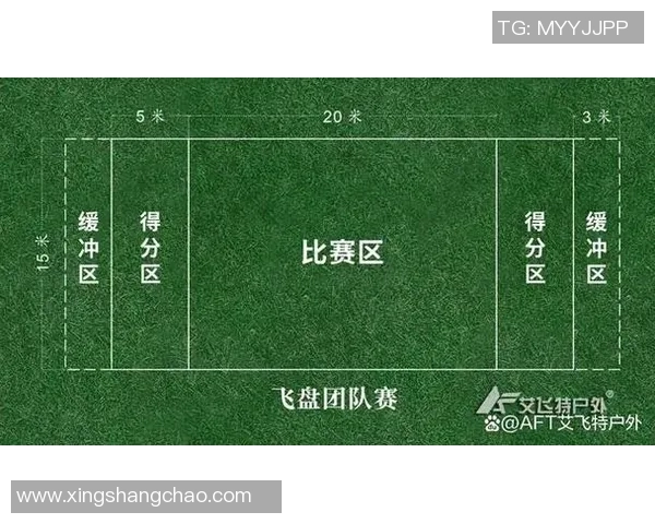 北京飞盘队的节奏分析与反思如何提升团队表现与竞技水平