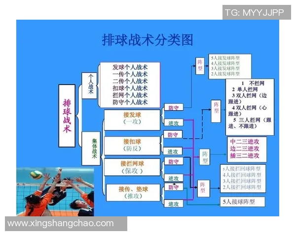 深圳排球队进攻策略分析与战术解读助力球队崛起