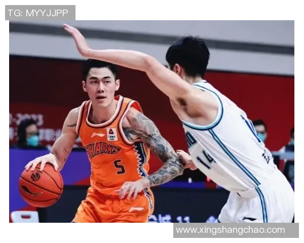 刘铮:从篮球场上的拼搏到人生舞台的奋斗之路 刘铮:从篮球场上的拼搏到人生舞台的奋斗之路