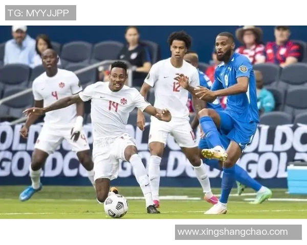 北爱尔兰与冰岛激战在即球迷期待精彩对决与历史交锋